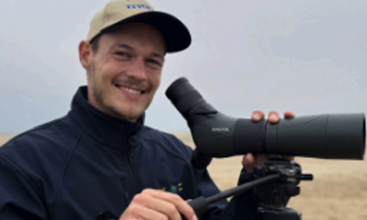 Small wins for African penguins amid a sharp population decline
