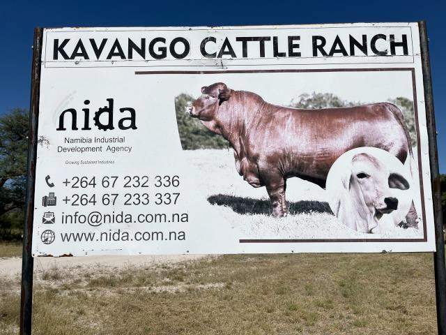 Kavango West Cattle Ranch lines up N$5.8 million farm projects