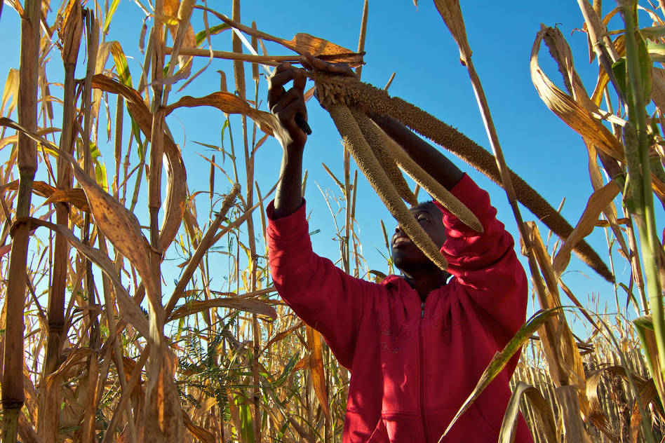 China-backed agricultural project trains 121 farmers