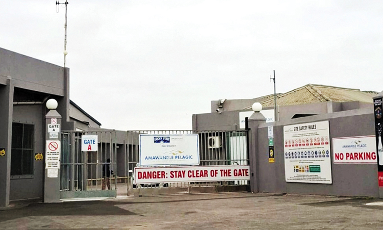 Lucky Star, Amawandle shutdown rattles South African workers