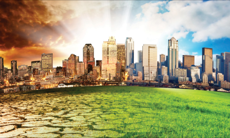 Nature holds key to climate fight