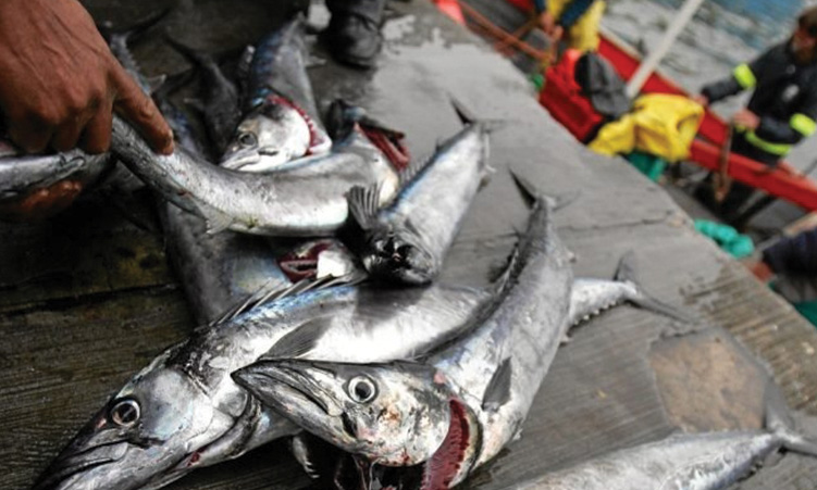 DRC’s N$40m fishing deal lands Standard Bank in court