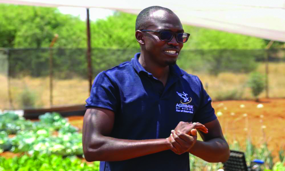 Strategies for Crop Farmers to Access Formal Markets