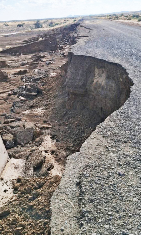 Rain Damage