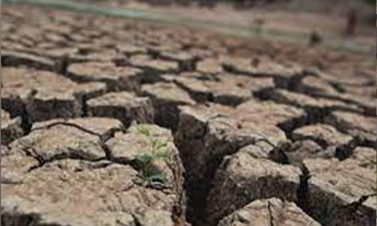 Eight simple ways to fight climate change