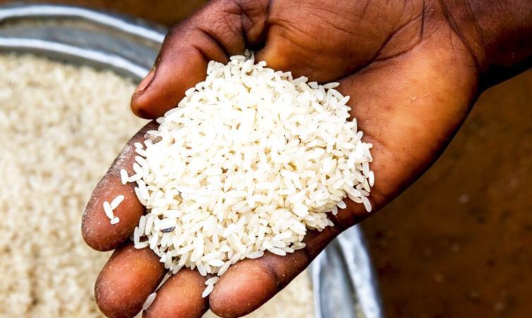 San families cry foul over food aid cuts