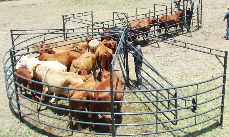 Agribank urges farmers to keep kraals clean