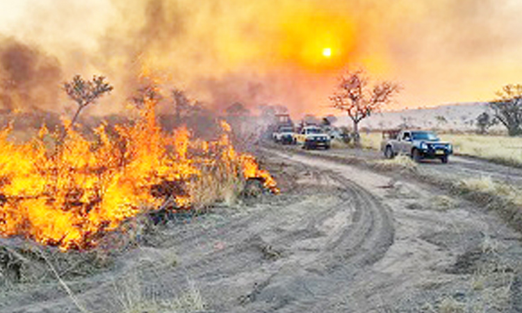 Wildfires continue to ravage Dâures