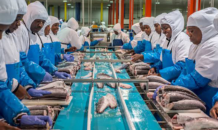 Marco Fishing locks out 300 workers