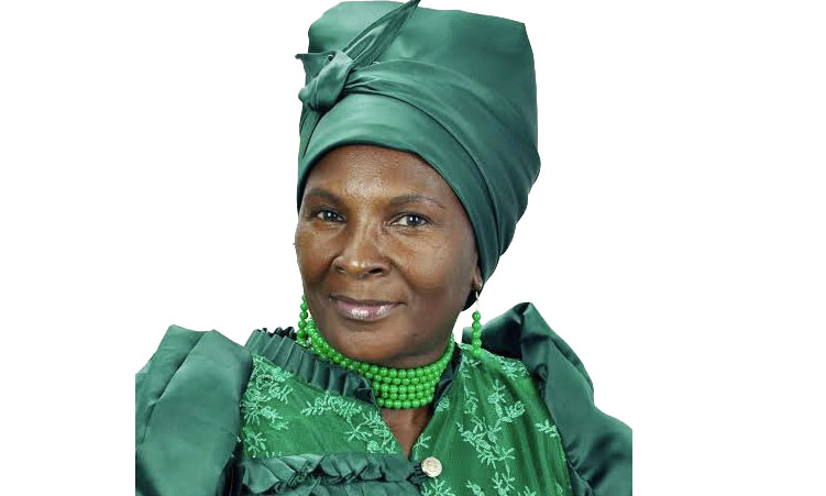 Windhoek councillor wants salaries paid twice a month