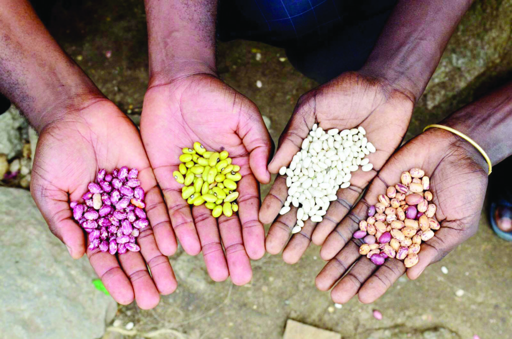 Seed bank planned for Uuvudhiya constituency