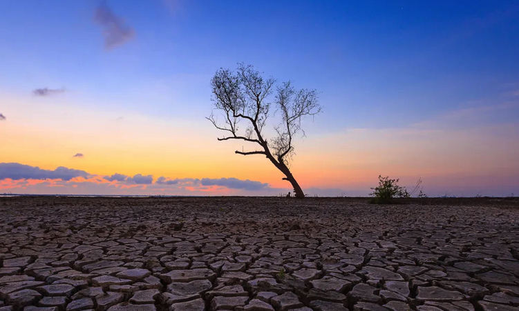 Is Windhoek Ready for the Next Major Drought?