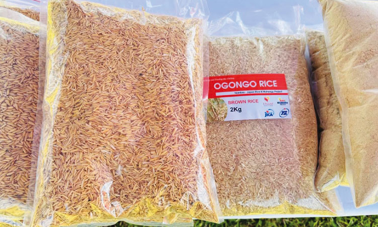 Equipment shortage slows rice farming