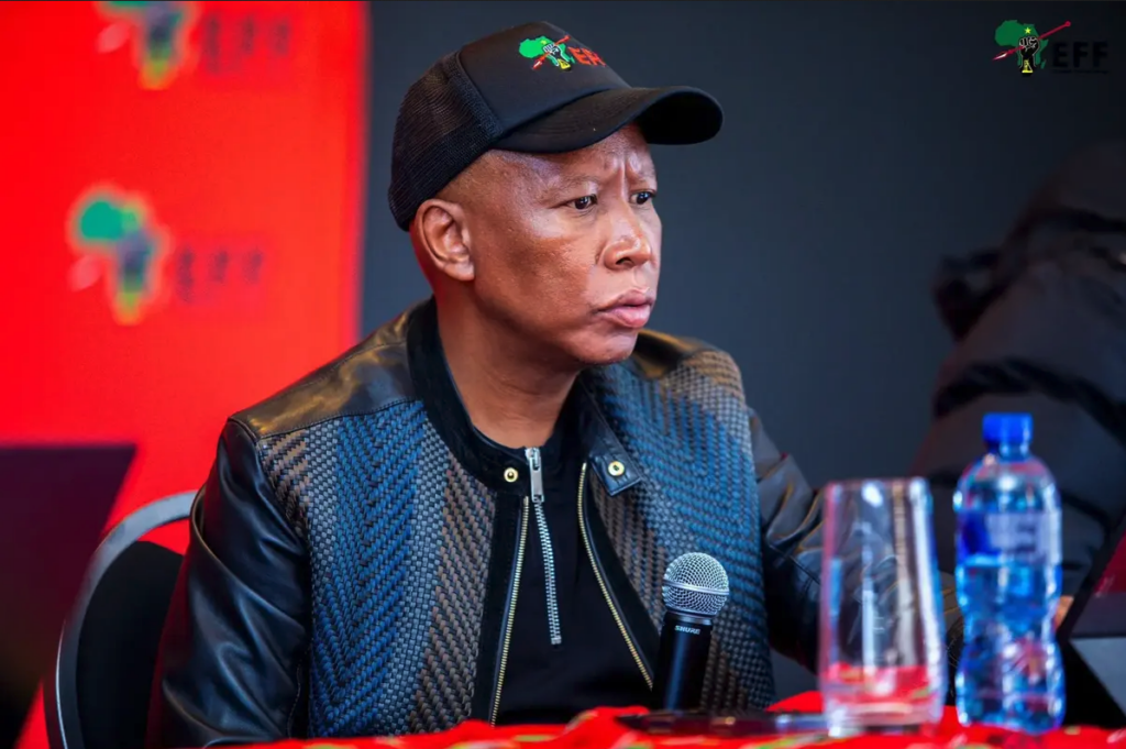 Malema denies role in plot to oust former intelligence inspector-general
