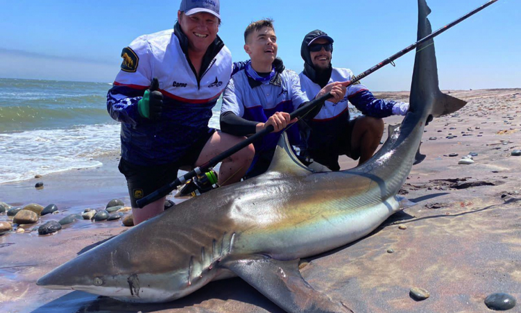Guardians of The Deep: Namibia’s sharks and rays