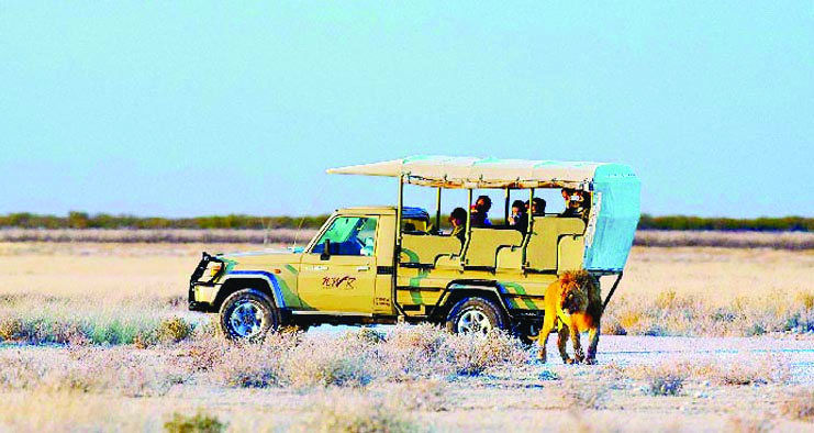Namibia receives1.3m tourists in 2025