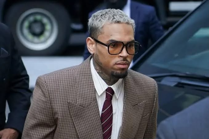 Chris Brown ordered to pay N$214 million after housekeeper wins dog attack lawsuit