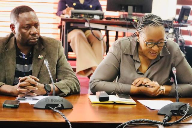 Youth fund should offer grants and ease loan requirements – Mbakera