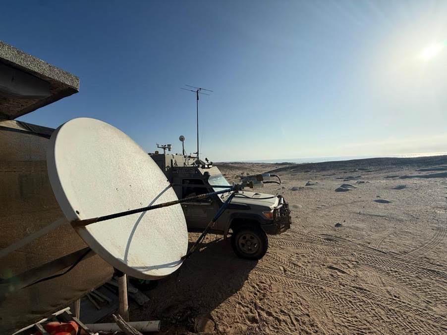 Paratus helps researchers track endangered desert lions