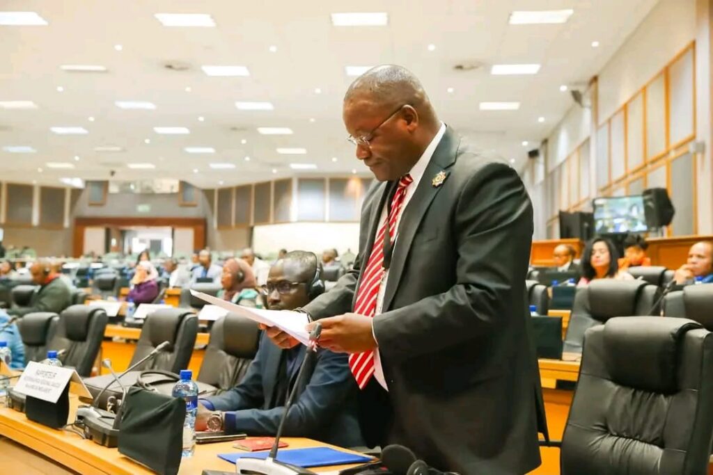 African MPs seek urgent debate on attacks in South Africa