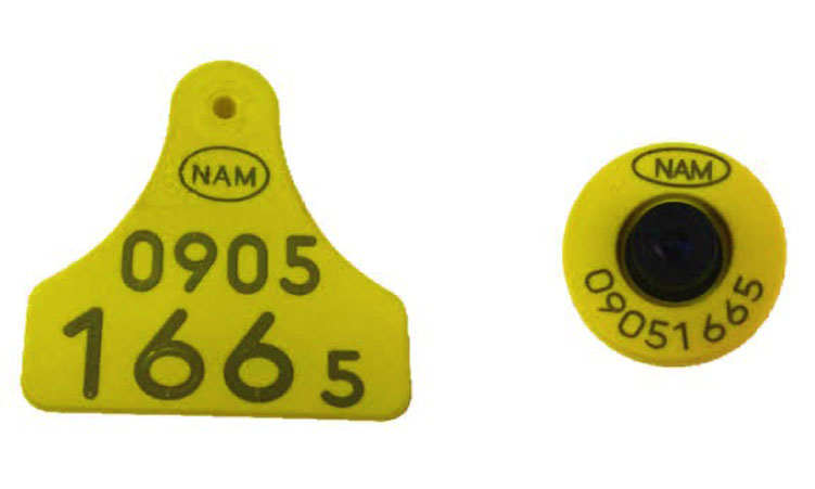 Cattle tags to switch to nine digits