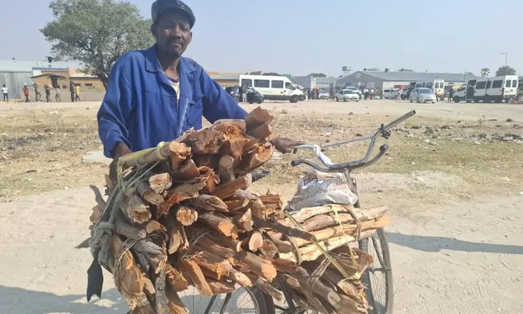 The bicycle that feeds a family