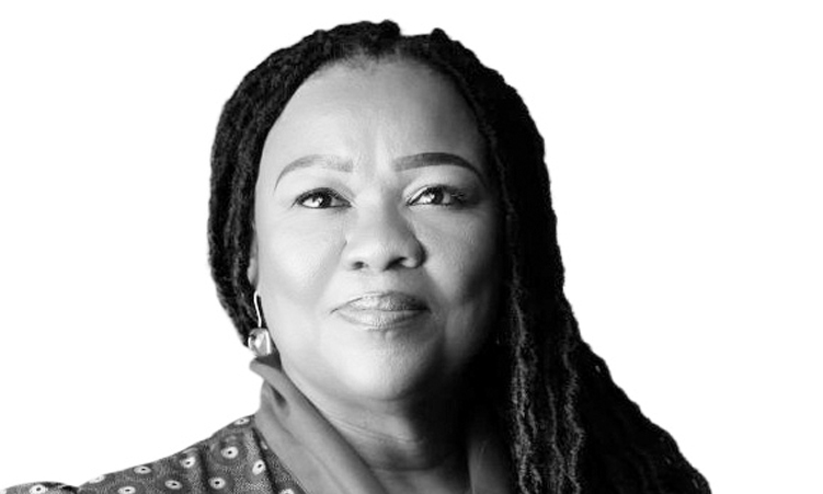 The Plover and the Crocodile: What Namibia Should Ask of Every Partnership