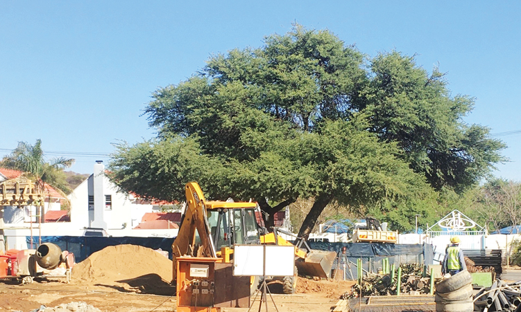 Celebrating those who protect Namibia’s indigenous flora