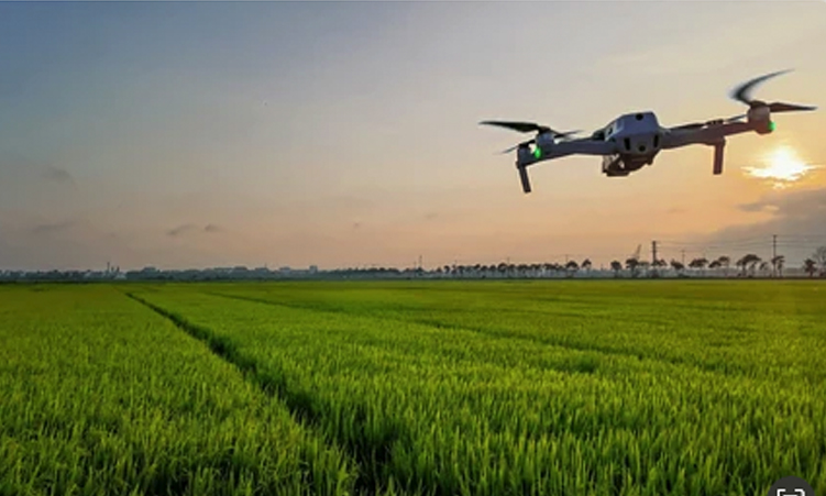 Cabinet blocks US AI crop-monitoring tender