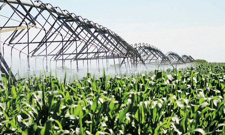 N$2m study clears way for Ekoka green scheme