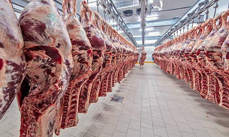 Vet budget puts beef exports at risk