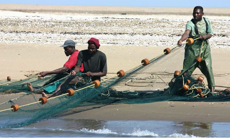 Protecting Namibia’s Thriving Blue Economy