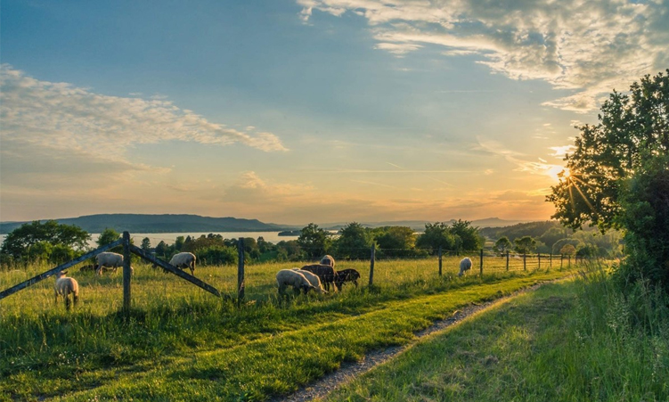 Agri-tourism model proposedfor resettlement farms