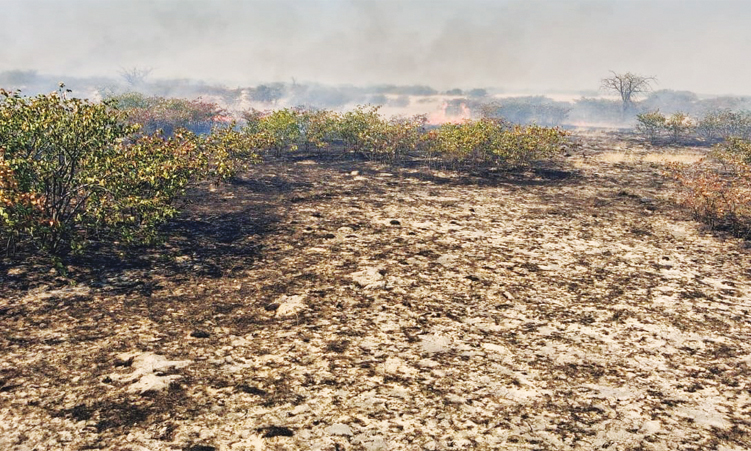 Uuvudhiya veld fire causes widespread ecological damage