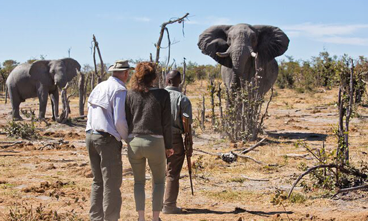 Etosha ban puts jobs at risk