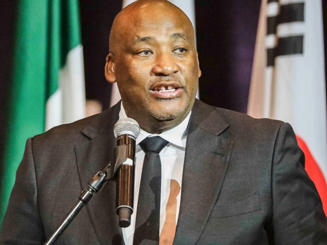 SA minister hails Namibia as ‘true sister nation’ amid xenophobia allegations