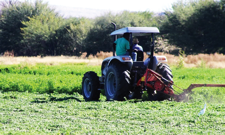Minimum wage stretching farmers’ pockets