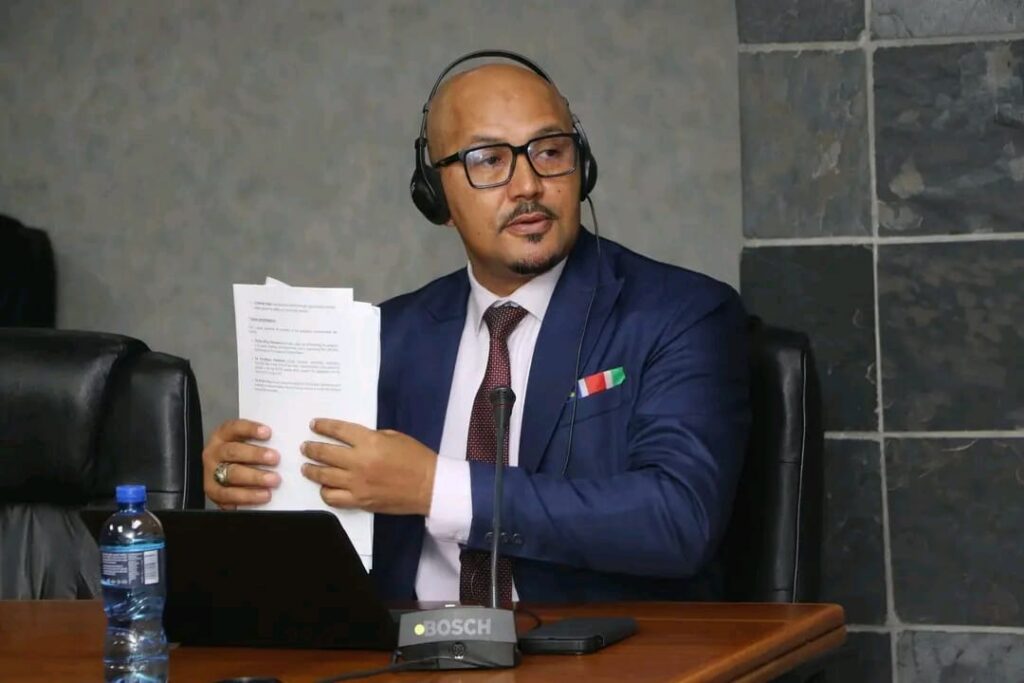 IPC says Damaseb appointment misses Tanzania rights concerns