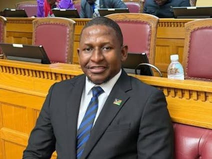 Public servants should not take debt crisis blame – Mwashindange