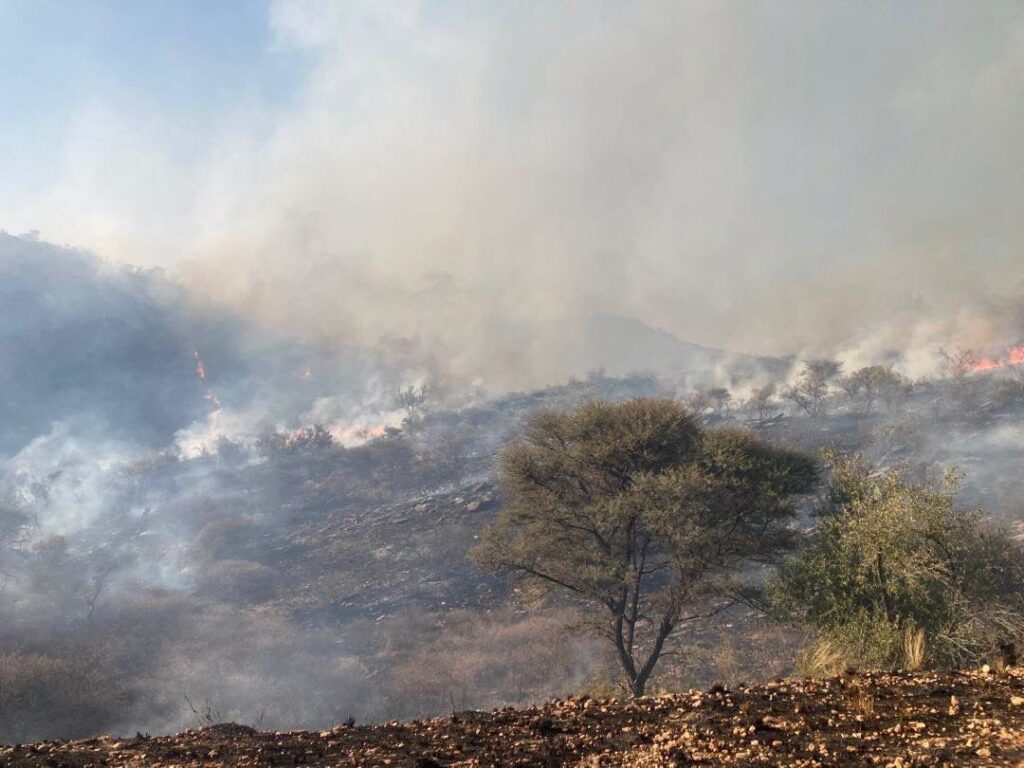 Ongos fire destroys 4 700 hectares