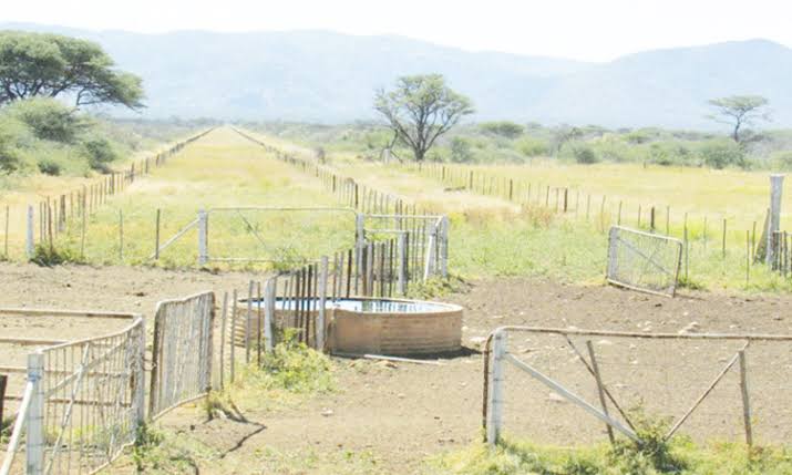 Agri-tourism model proposed for resettlement farms