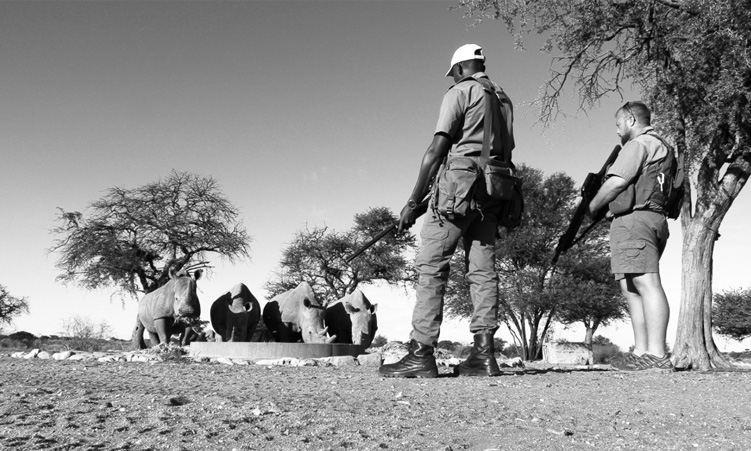 Rangers fight off suspected poachers in Outjo area shootout