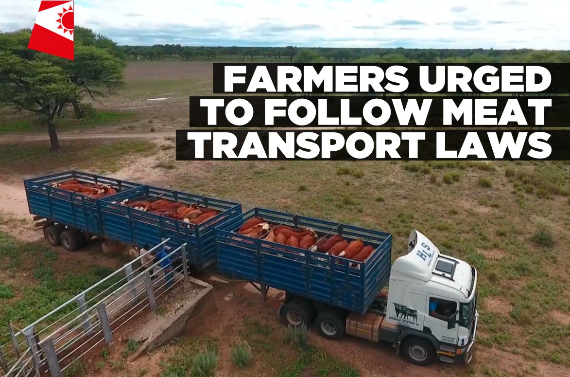 Farmers reminded of livestock, meat and warthog transport requirements