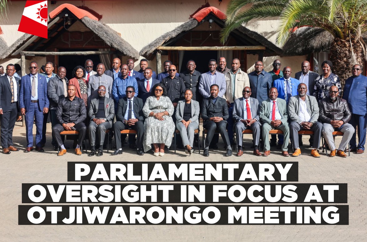 National Council focuses on strengthening oversight during planning session