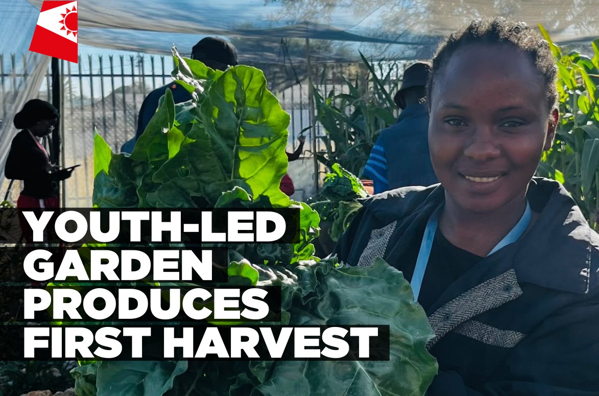 #BeFree Grow Gardening Project celebrates first harvest