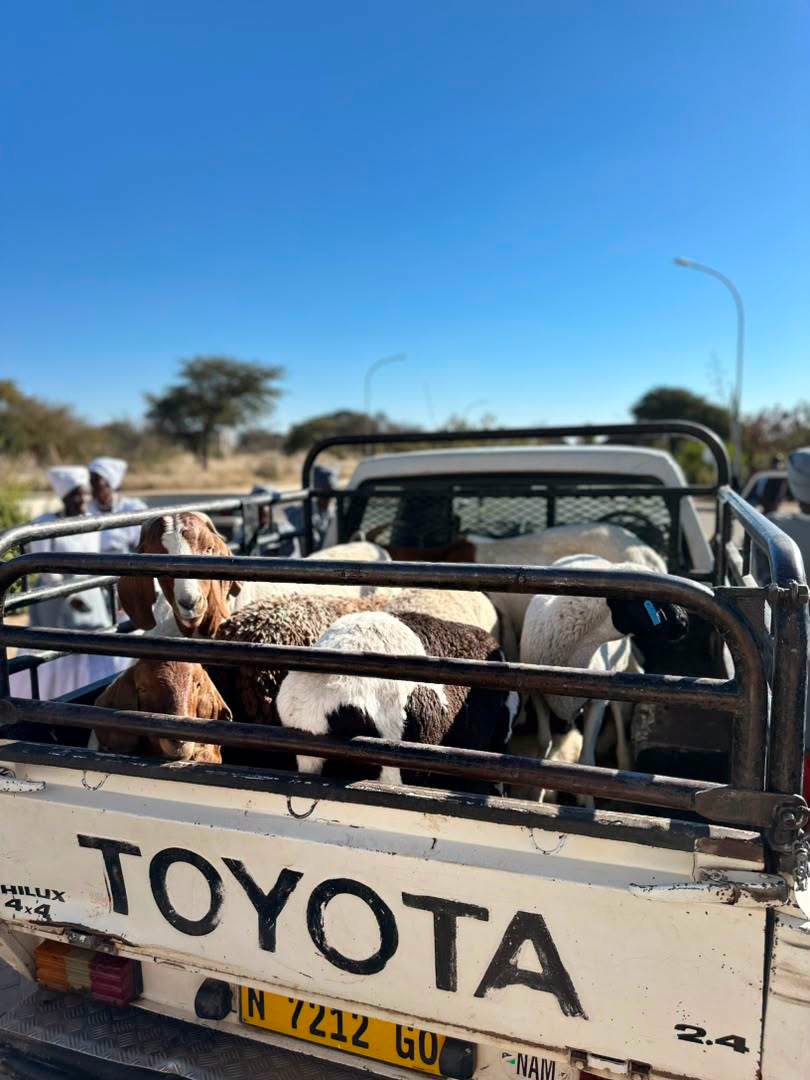 Miss Namibia winners to receive livestock donation from cultural group