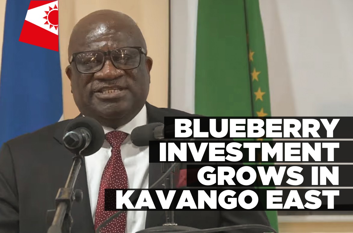 Kavango East blueberry farm emerges as key driver of regional growth
