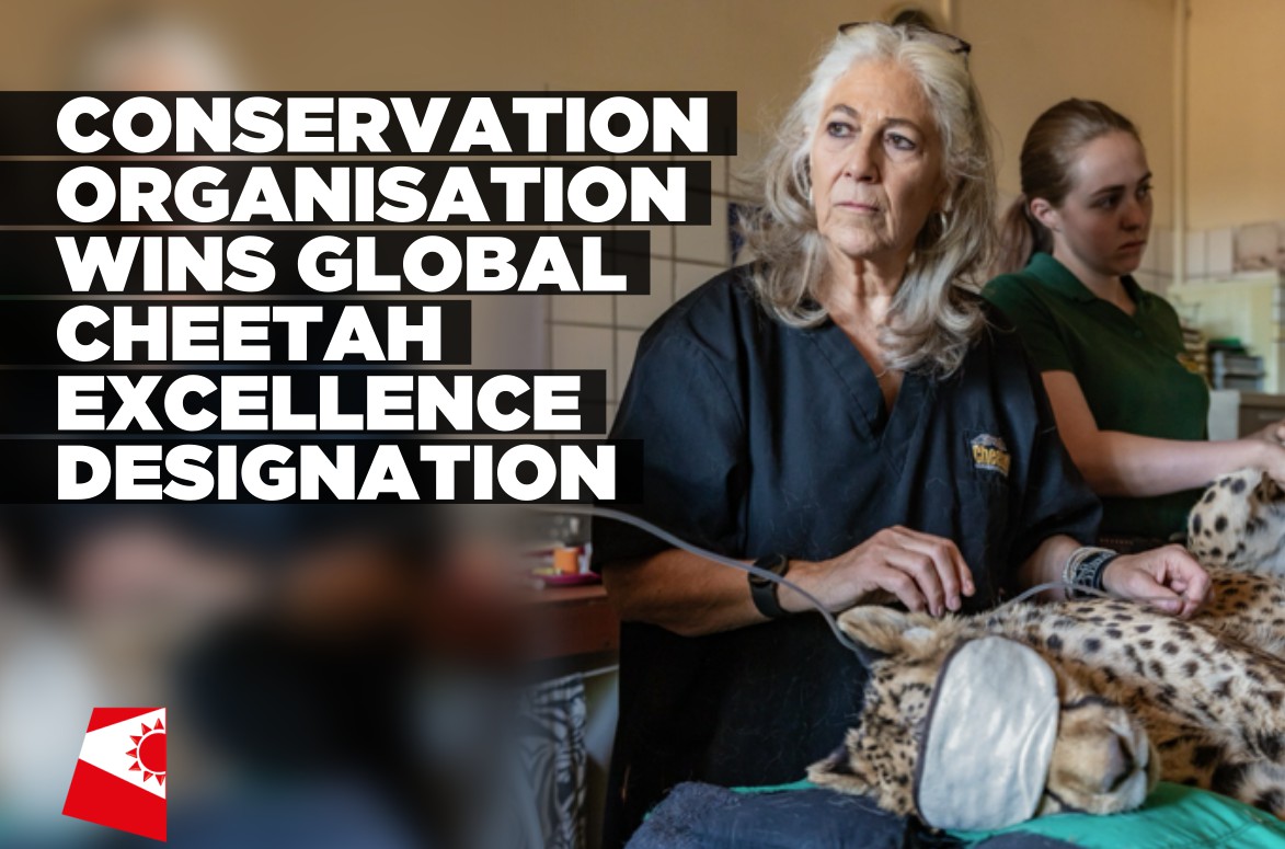 Cheetah Conservation Fund named Global Centre of Excellence for Cheetah Conservation