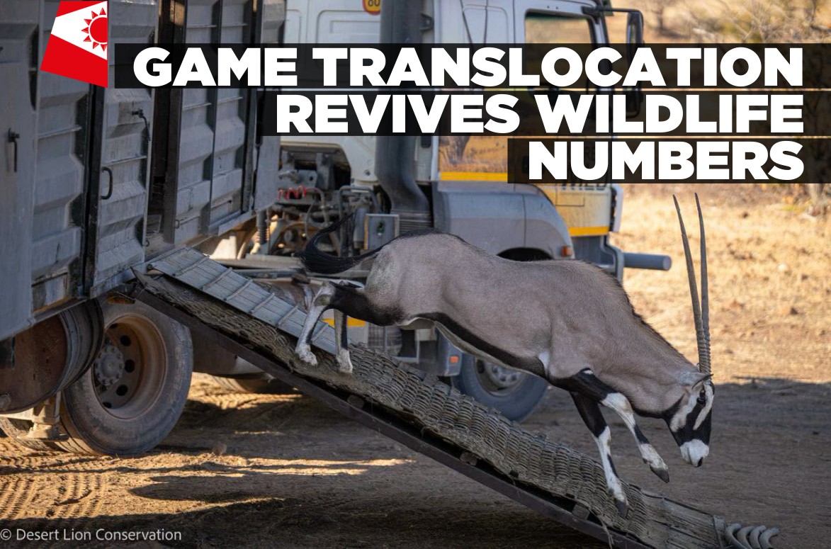 Environment ministry relocates Etosha wildlife to restore game populations in drought-affected areas
