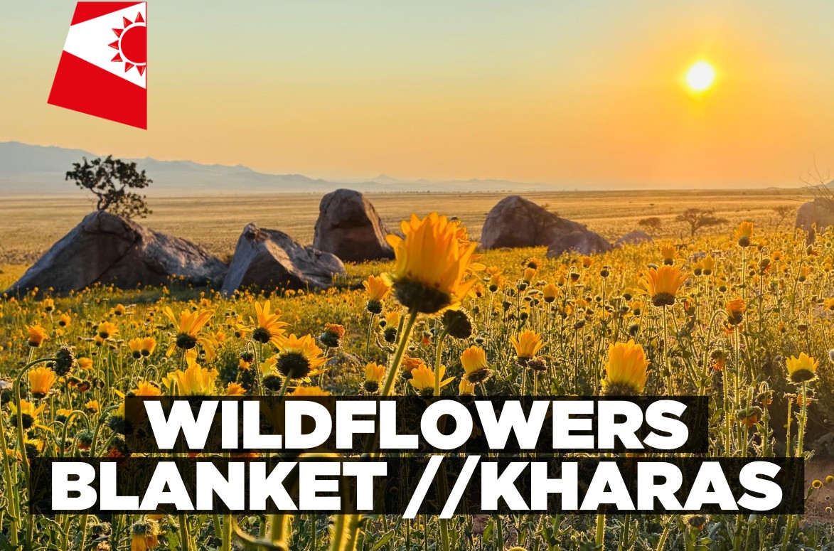 Wildflowers blanket //Kharas